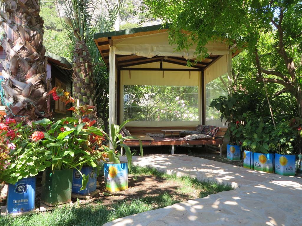 Aygun Pension Текирова Экстерьер фото