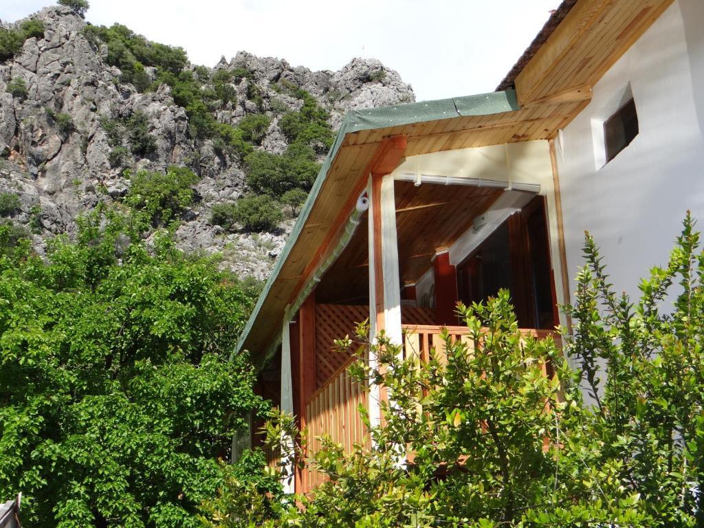Aygun Pension Текирова Экстерьер фото