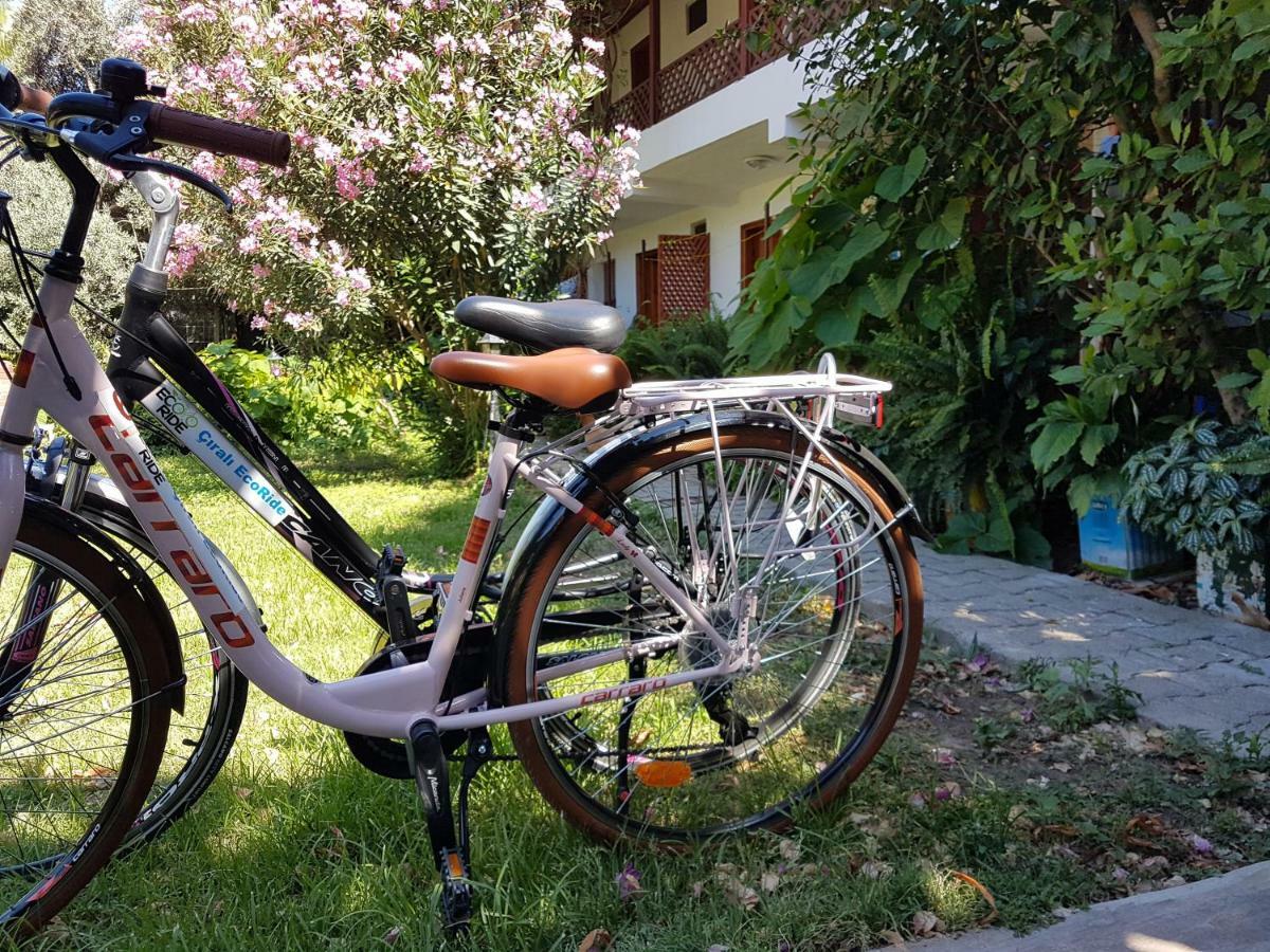 Aygun Pension Текирова Экстерьер фото